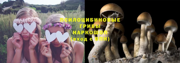 бутират Алексин