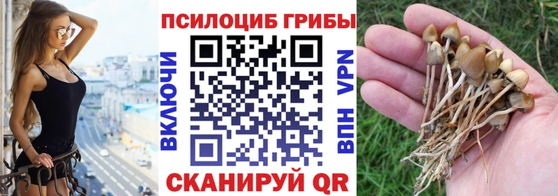 Галлюциногенные грибы MAGIC MUSHROOMS  Клин 