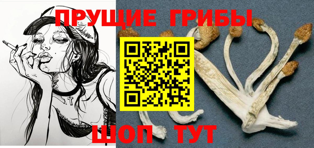 Галлюциногенные грибы MAGIC MUSHROOMS Клин