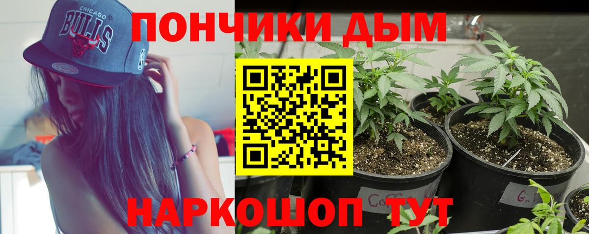 Канабис индика Клин